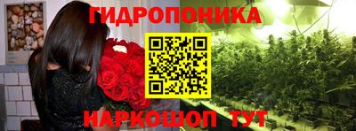 гашик Малгобек