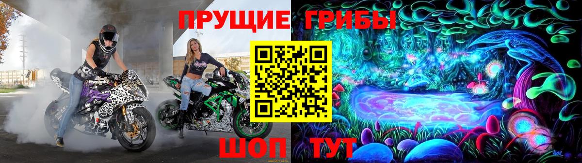 Галлюциногенные грибы Psilocybe Солнечногорск