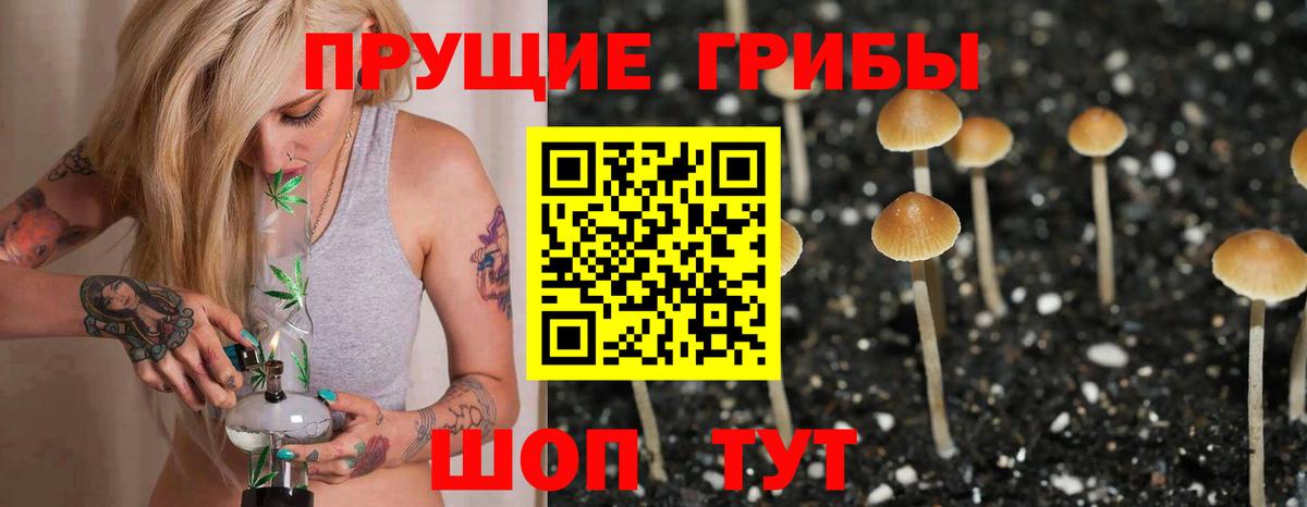 Галлюциногенные грибы Psilocybe  дарнет шоп  Солнечногорск  Вход с VPN 